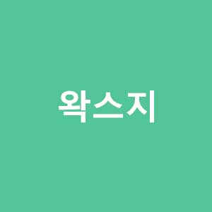 왁스지 바로가기